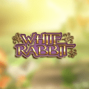 Огляд казино White Rabbit Casino: гральні автомати та слоти в Україні