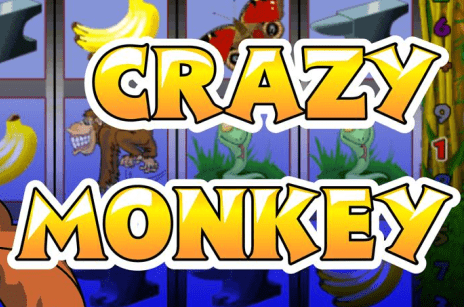 Изображение Игровой автомат Crazy monkey: особенности, принцип игры, список казино, предлагающих слот