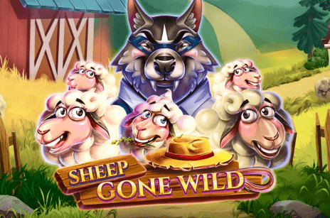 Изображение Игровой слот Sheep Gone Wild: особенности, принцип игры, список казино, предлагающих слот