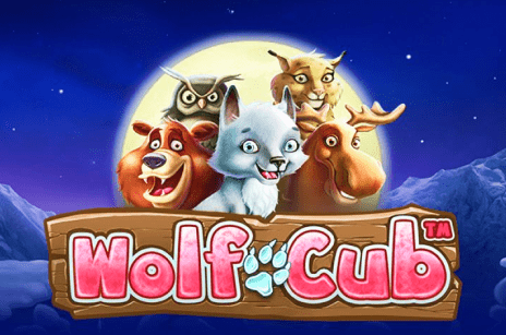 Изображение Игровой автомат Wolf Cub: особенности, принцип игры, список казино, предлагающих слот